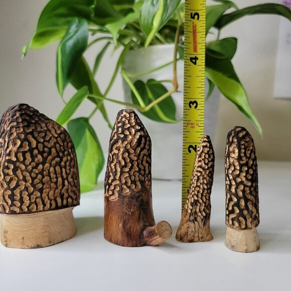 Set of 4 Morel Mushroom Wood Carved Merchroom Forage Mantle Outdoors Fungi Art - Picture 7 of 11